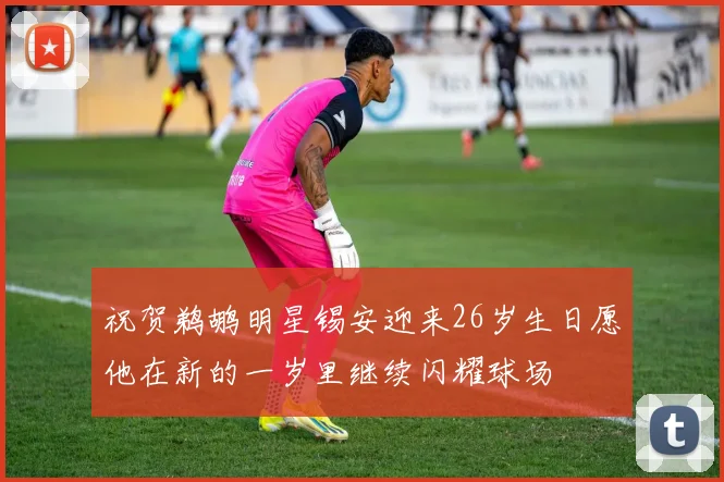 祝贺鹈鹕明星锡安迎来26岁生日愿他在新的一岁里继续闪耀球场