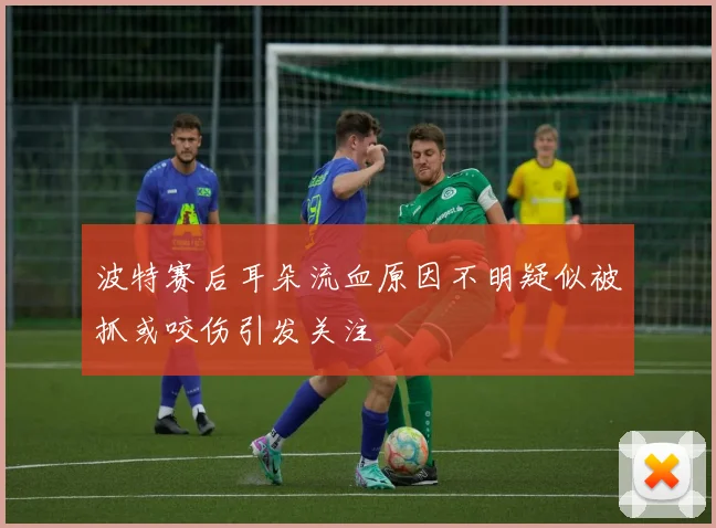 波特赛后耳朵流血原因不明疑似被抓或咬伤引发关注