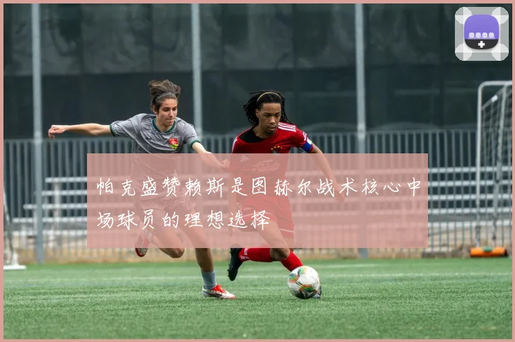 帕克盛赞赖斯是图赫尔战术核心中场球员的理想选择